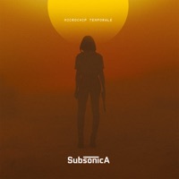 Thumbnail for the Subsonica - Perfezione link, provided by host site