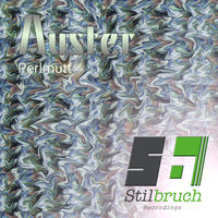 Image of Auster linking to their artist page due to link from them being at the top of the main table on this page