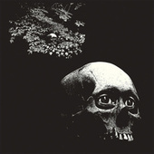 Thumbnail for the Oh Sees - Perm Act link, provided by host site