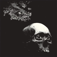 Thumbnail for the Oh Sees - Perm Act link, provided by host site