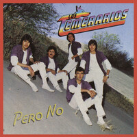 Image of Los Temerarios linking to their artist page due to link from them being at the top of the main table on this page