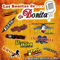 Thumbnail for the Flash - Pero Tu No Estas link, provided by host site