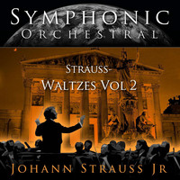 Thumbnail for the Vienna Volksoper Orchestra - Persian March, Op. 289 link, provided by host site