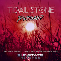 Thumbnail for the Sub Question - Persied - Sub Question Remix link, provided by host site