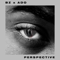 Thumbnail for the BZ - Perspective link, provided by host site