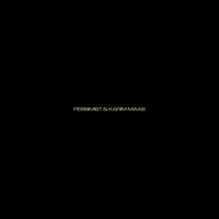 Thumbnail for the Pessimist - Pessimist & Karim Maas link, provided by host site