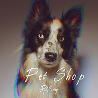 Thumbnail for the Ratking - Pet Shop link, provided by host site