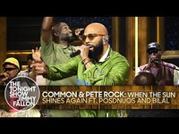 Thumbnail for the Common - & Pete Rock: When The Sun Shines Again link, provided by host site