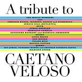 Thumbnail for the Seu Jorge - Peter Gast link, provided by host site