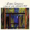Thumbnail for the Peter Gordon - Peter Gordon Love of Life Orchestra link, provided by host site
