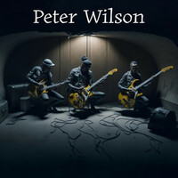 Thumbnail for the Peter Wilson - Peter Wilson link, provided by host site