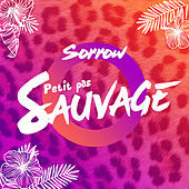 Thumbnail for the Sorrow - Petit Pas Sauvage link, provided by host site