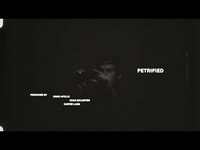 Thumbnail for the Omar Apollo - Petrified (Official Visualizer) link, provided by host site