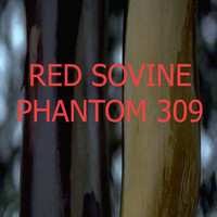 Thumbnail for the Red Sovine - Phantom 309 link, provided by host site