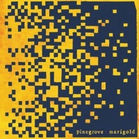 Thumbnail for the Pinegrove - Phase link, provided by host site