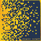 Thumbnail for the Pinegrove - Phase link, provided by host site