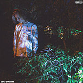Thumbnail for the Pharaoh - PHLORA (Mixtapes) link, provided by host site