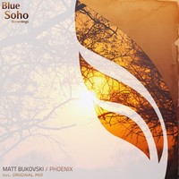 Thumbnail for the Matt Bukovski - Phoenix link, provided by host site