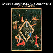 Thumbnail for the Andreas Vollenweider - Phoenix link, provided by host site