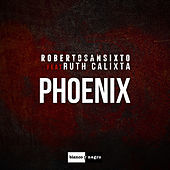 Thumbnail for the Roberto Sansixto - Phoenix (Radio Edit) link, provided by host site