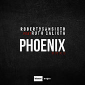 Thumbnail for the Roberto Sansixto - Phoenix (Remixes) link, provided by host site