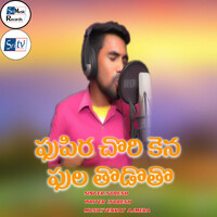 Thumbnail for the Suresh - PHUPIRA CHORI KENA PHULA TODOTO link, provided by host site
