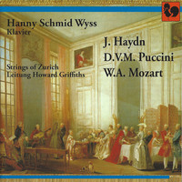 Thumbnail for the Domenico Vincenzo Maria Puccini - Piano Concerto in B Major: I. Allegretto link, provided by host site