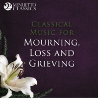 Thumbnail for the Klaus-Peter Hahn - Piano Concerto No. 2 in C Minor, Op. 18: II. Adagio sostenuto link, provided by host site