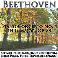 Thumbnail for the Slovak Philharmonic - Piano Concerto No. 4 in G major, Op. 58: III. Rondo (Vivace) link, provided by host site