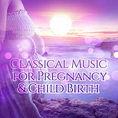 Thumbnail for the Krakow String Project - Piano Concerto No. 5 in D Major, K. 175: II. Andante ma un poco adagio (Harp Version) link, provided by host site