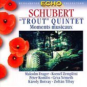 Thumbnail for the Malcolm Frager - Piano Quintet in A Major, Op. 114, D. 667, "Die Forelle" (The Trout): I. Allegro vivace link, provided by host site