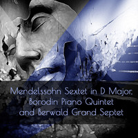 Thumbnail for the Alexander Borodin - Piano Quintet in C Minor: III. Finale: Allegro moderato link, provided by host site