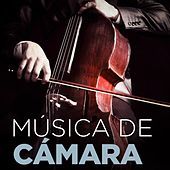Thumbnail for the Yale String Quartet - Piano Quintet in F Minor, Op. 34: II. Andante, un poco Adagio link, provided by host site
