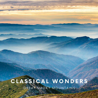 Thumbnail for the Ludwig van Beethoven - Piano Sonata No. 21 in C Major, Op. 53 "Waldstein": II. Introduzione. Adagio molto link, provided by host site