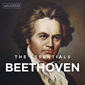 Thumbnail for the Dino Ciani - Piano Sonata No. 29 in B-Flat Major, Op. 106, "Hammerklavier": I. Allegro link, provided by host site