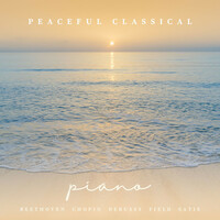 Thumbnail for the Ludwig van Beethoven - Piano Sonata No. 7 in D Major, Op. 10 No. 3: III. Menuetto. Allegro link, provided by host site