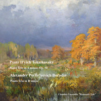 Thumbnail for the Alexander Borodin - Piano Trio in D Major: I. Allegro Con Brio link, provided by host site