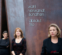 Thumbnail for the Volkmar Andreae - Piano Trio No. 1 in F Minor, Op. 1: III. Allegro ma non troppo link, provided by host site