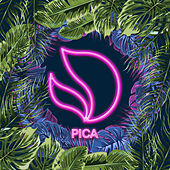 Thumbnail for the Deorro - Pica link, provided by host site