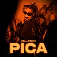 Thumbnail for the Lazuli - Pica link, provided by host site