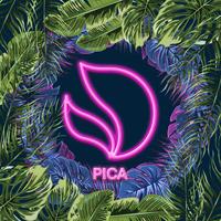Thumbnail for the Deorro - Pica link, provided by host site