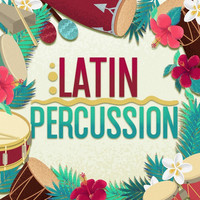 Thumbnail for the Cal Tjader - Picadillo link, provided by host site