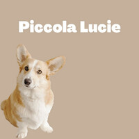 Thumbnail for the Karl Carling - Piccola Lucie link, provided by host site