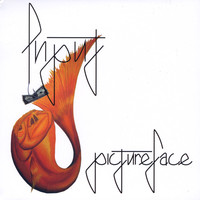 Thumbnail for the Input - Pictureface link, provided by host site