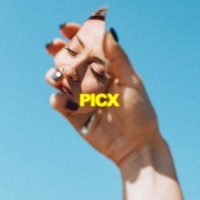 Thumbnail for the Palastic - Picx link, provided by host site