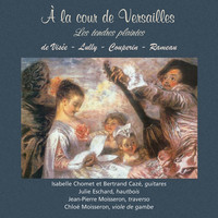 Thumbnail for the Jean-Philippe Rameau - Pièces de clavecin: Rigaudon link, provided by host site