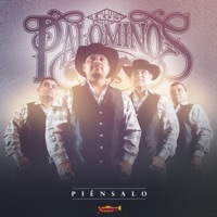 Thumbnail for the Los Palominos - Piénsalo link, provided by host site