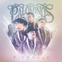 Image of Los Palominos linking to their artist page due to link from them being at the top of the main table on this page