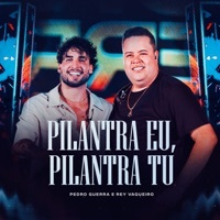 Thumbnail for the Pedro Guerra - Pilantra Eu, Pilantra Tu link, provided by host site