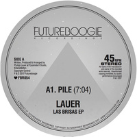 Thumbnail for the Lauer - Pile link, provided by host site